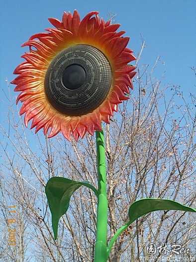 街道向日葵雕塑 現(xiàn)代景觀花朵雕塑 彩繪花卉雕塑